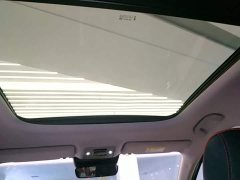BYD Yuan Plus 430KM Premium Edition - ფოტო 18