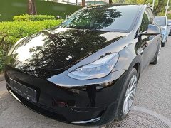Tesla Model Y Rear-Wheel Drive - ფოტო 1