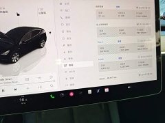 Tesla Model Y Rear-Wheel Drive - ფოტო 12