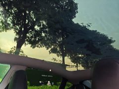 Tesla Model Y Rear-Wheel Drive - ფოტო 18