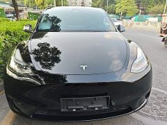 Tesla Model Y Rear-Wheel Drive - ფოტო 3