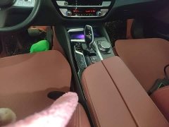 BMW 5 Series 530Li Premier M Sport Package - ფოტო 14