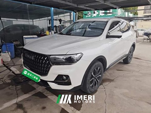 2023 Haval H6 National Trend Edition 1.5T Automatic Urban Version - ავტომობილი ჩინეთიდან