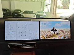 Li Auto L6 Pro - ფოტო 13
