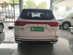 Haval M6 PLUS 1.5T DCT Luxury Smart Connected Edition - ფოტო 6