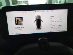 XPeng P7 P7i 610 Peng Wing Performance Edition - ფოტო 12