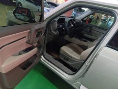 Haval Big Dog PLUS New Energy 2026 Hi4 150km Trendy EV Edition - ფოტო 16