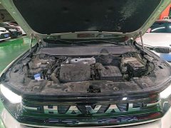 Haval Big Dog PLUS New Energy 2026 Hi4 150km Trendy EV Edition - ფოტო 20