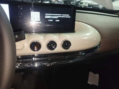 Wuling Binguo 333km Lingxi Connected Plus - ფოტო 13