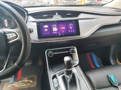Geely Binrui 2020 Facelift 1.4T CVT Asian Games Edition - ფოტო 13