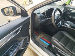 Geely Binrui 2020 Facelift 1.4T CVT Asian Games Edition - ფოტო 16