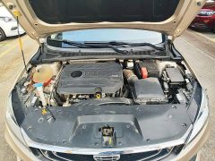 Geely Binrui 2020 Facelift 1.4T CVT Asian Games Edition - ფოტო 20