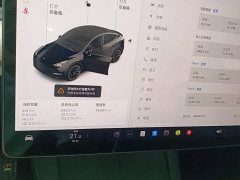 Tesla Model Y Standard Range RWD - ფოტო 12