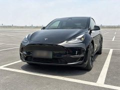 Tesla Model Y Standard Range RWD - ფოტო 2