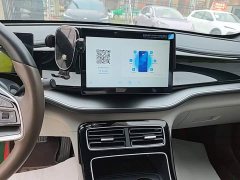 BYD Qin PLUS 2024 Glory Edition EV 420KM Leading - ფოტო 13