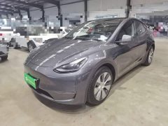 Tesla Model Y Long Range All-Wheel Drive 3D7 - ფოტო 1