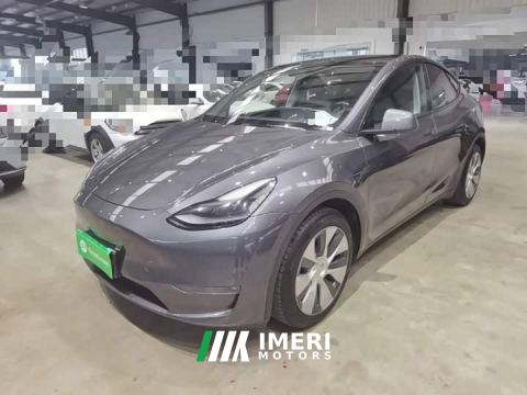 2021 Tesla Model Y Long Range All-Wheel Drive 3D7 - ავტომობილი ჩინეთიდან