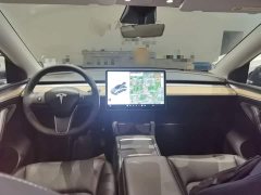 Tesla Model Y Long Range All-Wheel Drive 3D7 - ფოტო 10