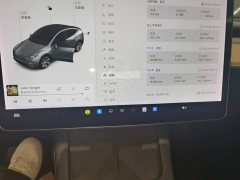 Tesla Model Y Long Range All-Wheel Drive 3D7 - ფოტო 12