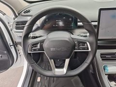 BYD Destroyer 05 Glory Edition DM-i 55KM Luxury - ფოტო 11