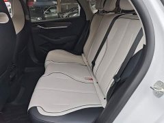 BYD Destroyer 05 Glory Edition DM-i 55KM Luxury - ფოტო 17
