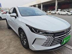 BYD Destroyer 05 Glory Edition DM-i 55KM Luxury - ფოტო 4