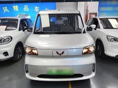 Wuling Zhiguang New Energy 201km Standard - ფოტო 3