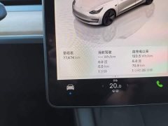 Tesla Model 3 Rear-Wheel Drive - ფოტო 12