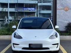 Tesla Model 3 Rear-Wheel Drive - ფოტო 3