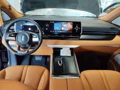Great Wall WEY Shanshan New Energy 2023 Four-Wheel Drive Executive Extended Version - ფოტო 10