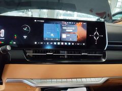 Great Wall WEY Shanshan New Energy 2023 Four-Wheel Drive Executive Extended Version - ფოტო 13