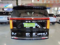 Great Wall WEY Shanshan New Energy 2023 Four-Wheel Drive Executive Extended Version - ფოტო 6