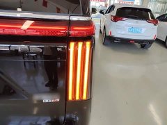 Great Wall WEY Shanshan New Energy 2023 Four-Wheel Drive Executive Extended Version - ფოტო 8
