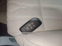 Dongfeng Xinghai V9 1.5TD 200km Chinese Knot Series Deluxe Edition - ფოტო 9