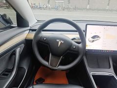 Tesla Model 3 Standard Range RWD Upgrade 3D6 - ფოტო 11