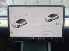 Tesla Model 3 Standard Range RWD Upgrade 3D6 - ფოტო 12