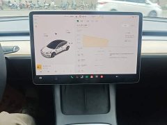 Tesla Model 3 Standard Range RWD Upgrade 3D6 - ფოტო 13