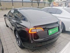 Tesla Model 3 Standard Range RWD Upgrade 3D6 - ფოტო 5