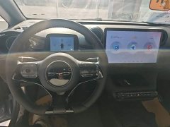 BYD Dolphin Glory Edition 420km Fashion Version - ფოტო 11