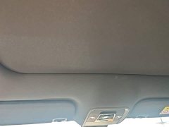 BYD Dolphin Glory Edition 420km Fashion Version - ფოტო 18