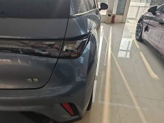 BYD Dolphin Glory Edition 420km Fashion Version - ფოტო 8