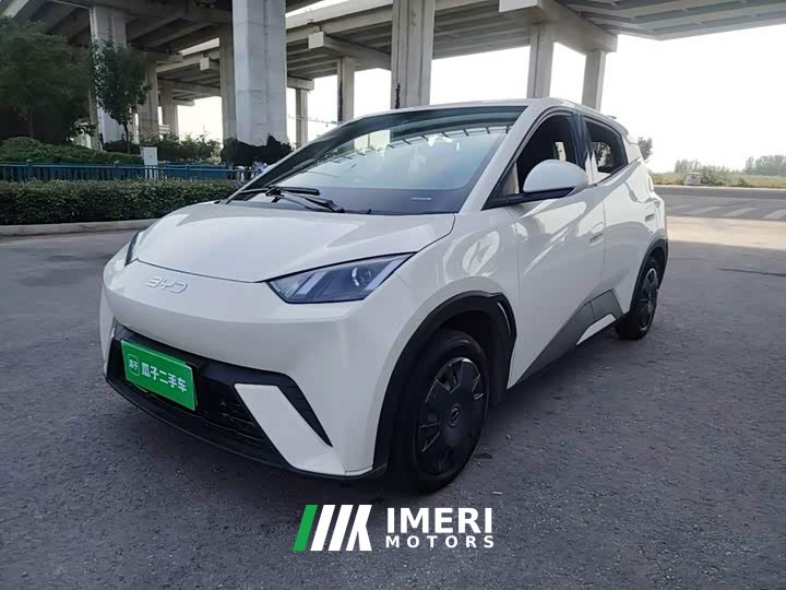 BYD Seagull 2025 305km Vitality Edition - ავტომობილი ჩინეთიდან