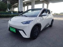 BYD Seagull 2025 305km Vitality Edition - ფოტო 1
