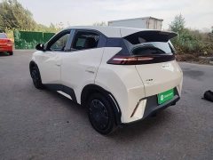 BYD Seagull 2025 305km Vitality Edition - ფოტო 5