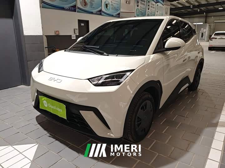 BYD Seagull 2025 305km Vitality Edition - ავტომობილი ჩინეთიდან