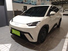 BYD Seagull 2025 305km Vitality Edition - ფოტო 2