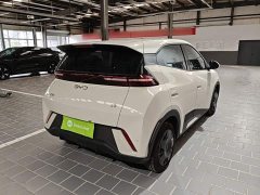 BYD Seagull 2025 305km Vitality Edition - ფოტო 5