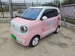 FAW Besturn Xiaoma 170km Vitality Edition - ფოტო 1