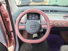 FAW Besturn Xiaoma 170km Vitality Edition - ფოტო 11