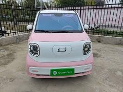FAW Besturn Xiaoma 170km Vitality Edition - ფოტო 3